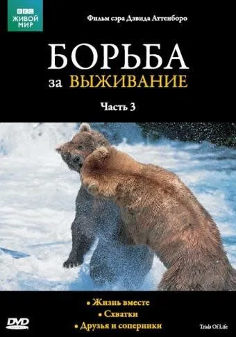 BBC: Борьба за выживание BBC: Борьба за выживание