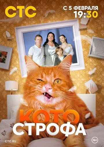 Котострофа Котострофа