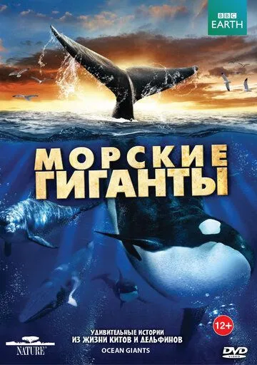 BBC: Морские гиганты BBC: Морские гиганты