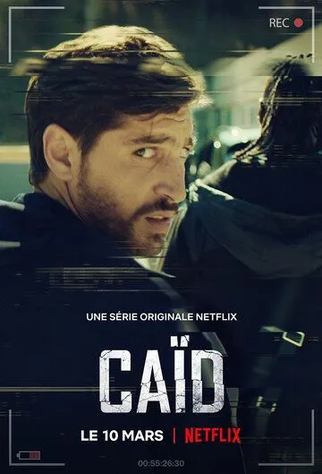 Дилер Дилер