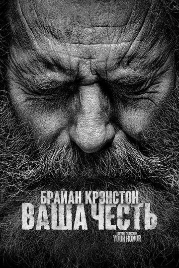 Ваша честь Ваша честь