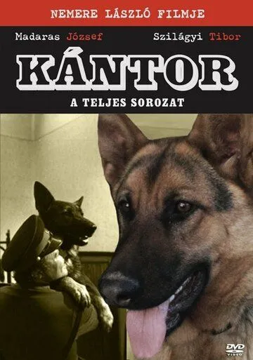 Кантор Кантор