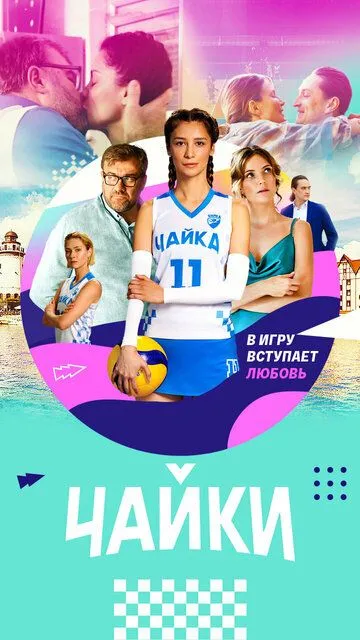 Чайки Чайки