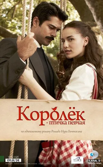 Королёк - птичка певчая Королёк - птичка певчая