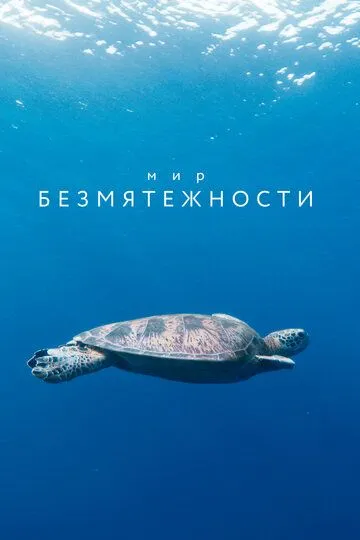 Мир безмятежности Мир безмятежности
