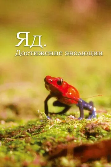 Яд. Достижение эволюции Яд. Достижение эволюции