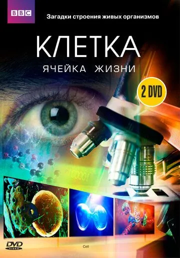BBC: Клетка BBC: Клетка