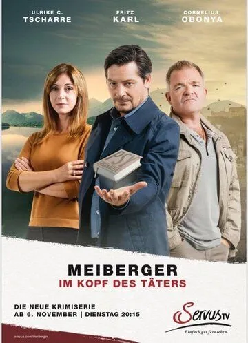Майбергер. В голове преступника Майбергер. В голове преступника