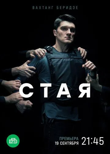 Стая Стая