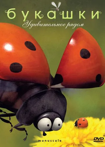 Букашки Букашки