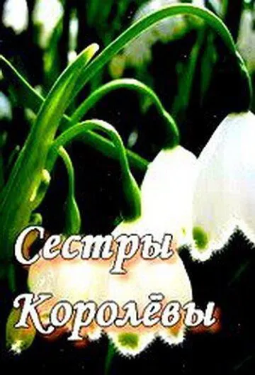 Сестры Королевы Сестры Королевы