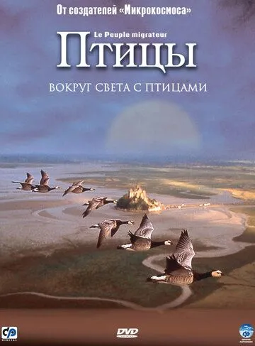 Птицы Птицы