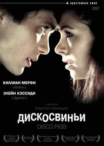 Дискосвиньи Дискосвиньи
