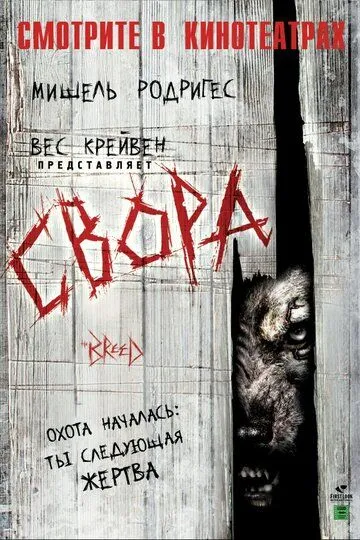 Свора Свора