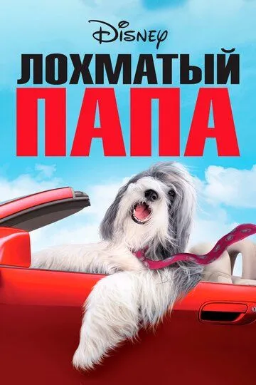 Лохматый папа Лохматый папа