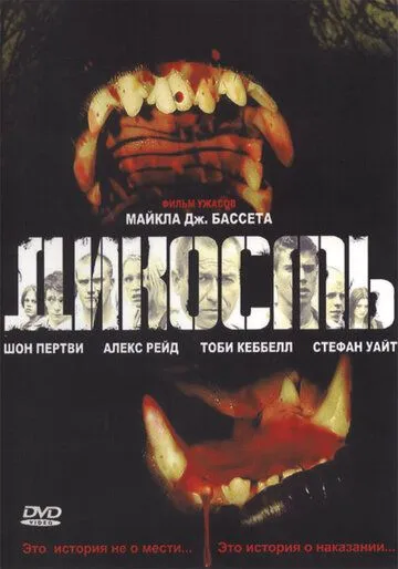 Дикость Дикость