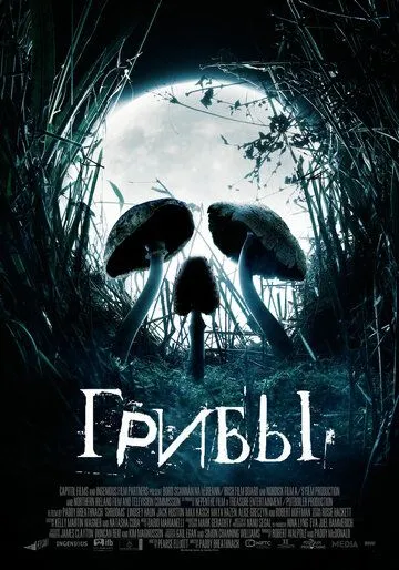 Грибы Грибы
