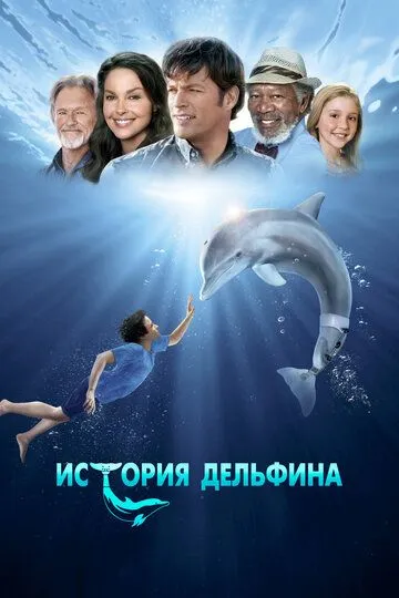 История дельфина История дельфина
