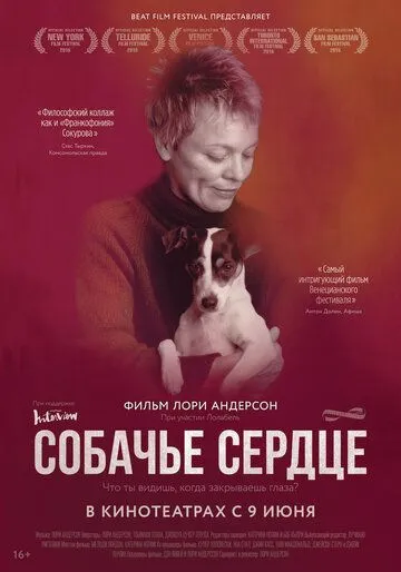 Собачье сердце Собачье сердце
