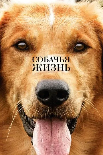 Собачья жизнь Собачья жизнь