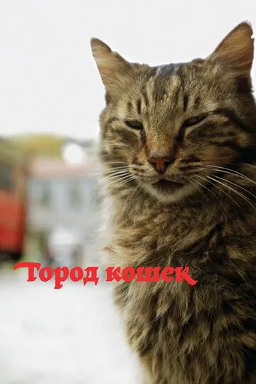 Город кошек Город кошек