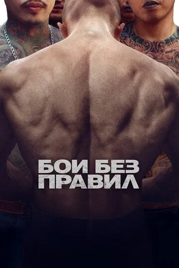 Бои без правил Бои без правил