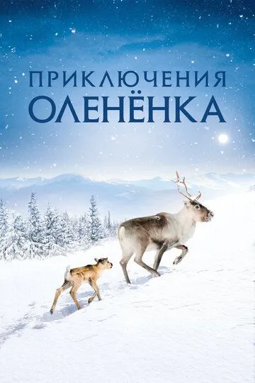 Приключения олененка Приключения олененка