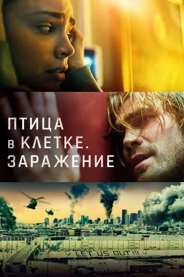 Птица в клетке. Заражение Птица в клетке. Заражение