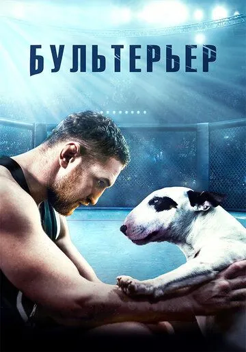 Бультерьер Бультерьер