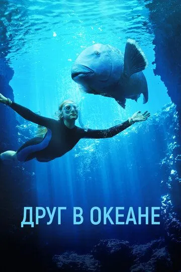 Друг в океане Друг в океане
