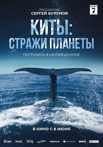 Киты: Стражи планеты Киты: Стражи планеты
